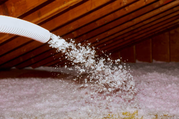 Best Specialty Insulation in Villa Rica, GA