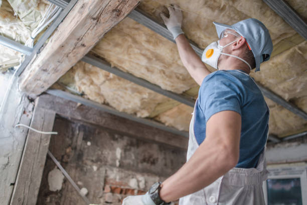 Best Commercial Insulation in Villa Rica, GA