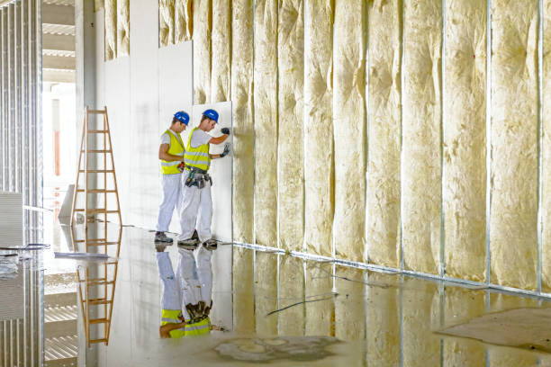 Best Insulation Installation Services in Villa Rica, GA